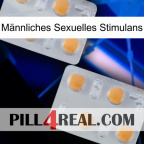 Männliches Sexuelles Stimulans 25